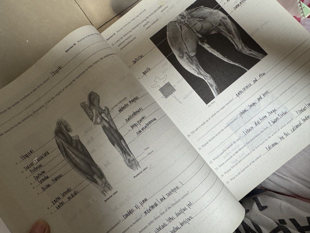 Seeley’s Anaphy Lab Manual (Category: Textbooks) located in Manila. Submitted by nicoleaure20 (Listing ID 1464491987, Image 3). Description: well used, with answers too :) - location: sampaloc, manila - mop: gcash/bpi - can be shipped thru lalamove/grab/ toktok/j&t but the buyer should shoulder the fee :) .