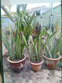 (Category: ) located in . Submitted by janetlim868068 (Listing ID 1464377076, Image 1). Description: .