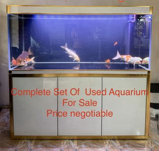 (Category: ) located in . Submitted by soul276 (Listing ID 1464451851, Image 1). Description: .