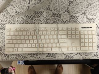 (Category: ) located in . Submitted by liny0075 (Listing ID 1464466831, Image 1). Description: .