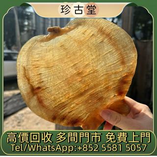 （分類：）位於 。 由 jangutong 提交（商品編號 1464641557，圖片 1）。簡介： 。