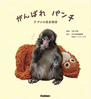 （分類：）位於 。 由 DORAJIRO 提交（商品編號 1464643187，圖片 1）。簡介： 。