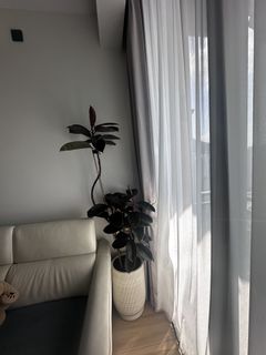 （分類：）位於 。 由 qtzgr4g6gt42884 提交（商品編號 1464710175，圖片 1）。簡介： 。