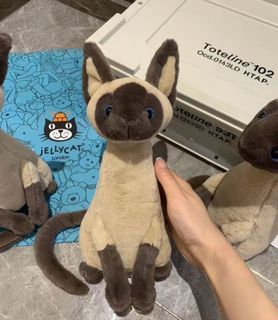 （分類：）位於 。 由 clevercat558c82 提交（商品編號 1464630053，圖片 1）。簡介： 。