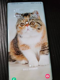 （分類：）位於 。 由 kittyskitty 提交（商品編號 1464576735，圖片 1）。簡介： 。