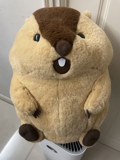 （分類：）位於 。 由 miumilka 提交（商品編號 1464700140，圖片 1）。簡介： 。