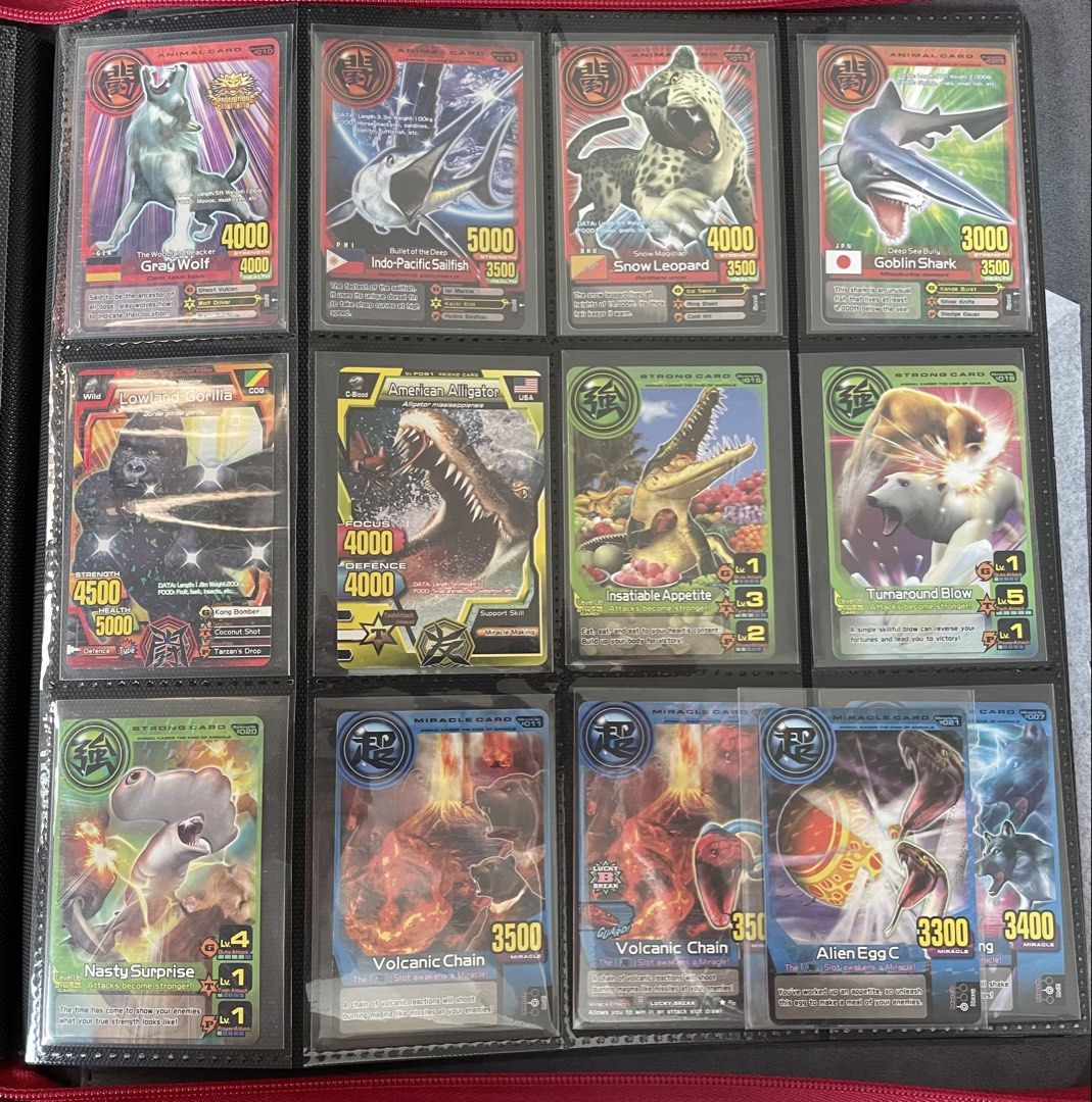 Animal Kaiser Card Lot (Category: Raw Singles) located in Muntinlupa City. Submitted by shiganshina_collectibles (Listing ID 1464658720, Image 1). Description: Animal Kaiser Lot Cards Loc: Quezon City MoP: GCash or Maya MoD: LBC or Lalamove.