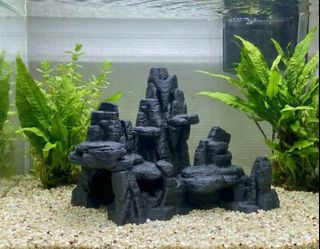 (Category: ) located in . Submitted by many_things123 (Listing ID 1464743605, Image 1). Description: .