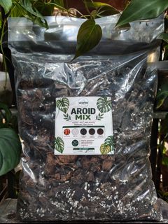 (Category: ) located in . Submitted by utaniaplants (Listing ID 1464652121, Image 1). Description: .