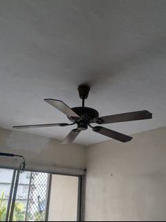 (Category: ) located in . Submitted by jeeq19 (Listing ID 1464685106, Image 1). Description: .