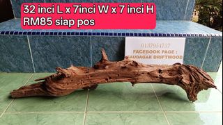 (Category: ) located in . Submitted by driftwood_hiasan (Listing ID 1464597542, Image 1). Description: .