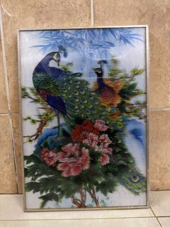 (Category: ) located in . Submitted by estara.520. (Listing ID 1464722166, Image 1). Description: .