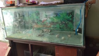 (Category: ) located in . Submitted by livekills (Listing ID 1464670104, Image 1). Description: .