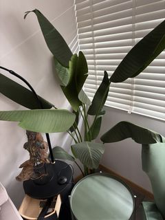 (Category: ) located in . Submitted by pradapx2 (Listing ID 1462515258, Image 1). Description: .