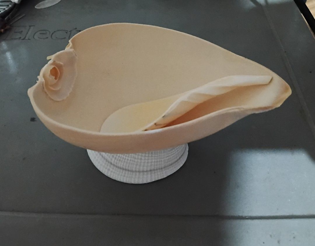Natural Seashell Bowl with Spoon and Stand (Category: Vases & Decorative Bowls) located in Taguig. Submitted by amomaenterprise (Listing ID 1464697504, Image 1). Description: - Unique handcrafted seashell dish set - Includes a smooth carved shell bowl and matching spoon - Mounted on a textured white shell base stand - Features natural cream and off-white tones - Clean finish with a smooth texture - Perfect for home decor, trinket storage, or coas