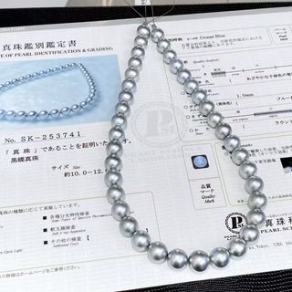 （分類：）位於 。 由 tpc.pearl 提交（商品編號 1464723164，圖片 1）。簡介： 。