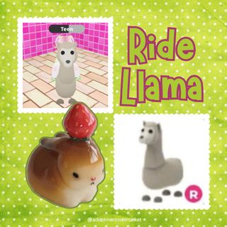 (Category: ) located in . Submitted by adoptmeclosetmarket (Listing ID 1464584809, Image 1). Description: .
