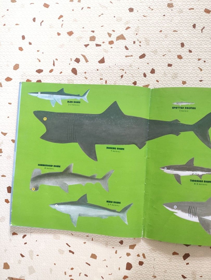 Shark Book 🦈 (Category: Children's Books) located in Taguig. Submitted by cleanupmomma (Listing ID 1464656151, Image 3). Description: Please take time to read ❤️ Big Paperback informative book complete pages wyiwyg.
