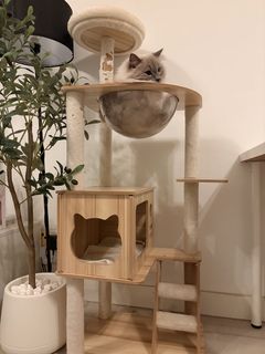 (Category: ) located in . Submitted by _zanacollection (Listing ID 1464750432, Image 1). Description: .