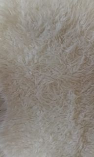 (Category: ) located in . Submitted by millionthings007 (Listing ID 1464805760, Image 1). Description: .