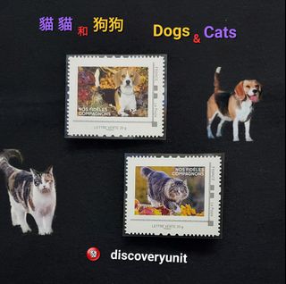 （分類：）位於 。 由 discoveryunit 提交（商品編號 1464864556，圖片 1）。簡介： 。