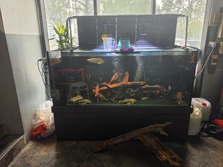 (Category: ) located in . Submitted by linctan (Listing ID 1464779538, Image 1). Description: .