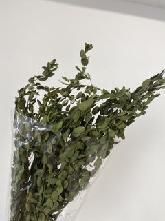 （分類：）位於 。 由 klemchloe 提交（商品編號 1464904293，圖片 1）。簡介： 。