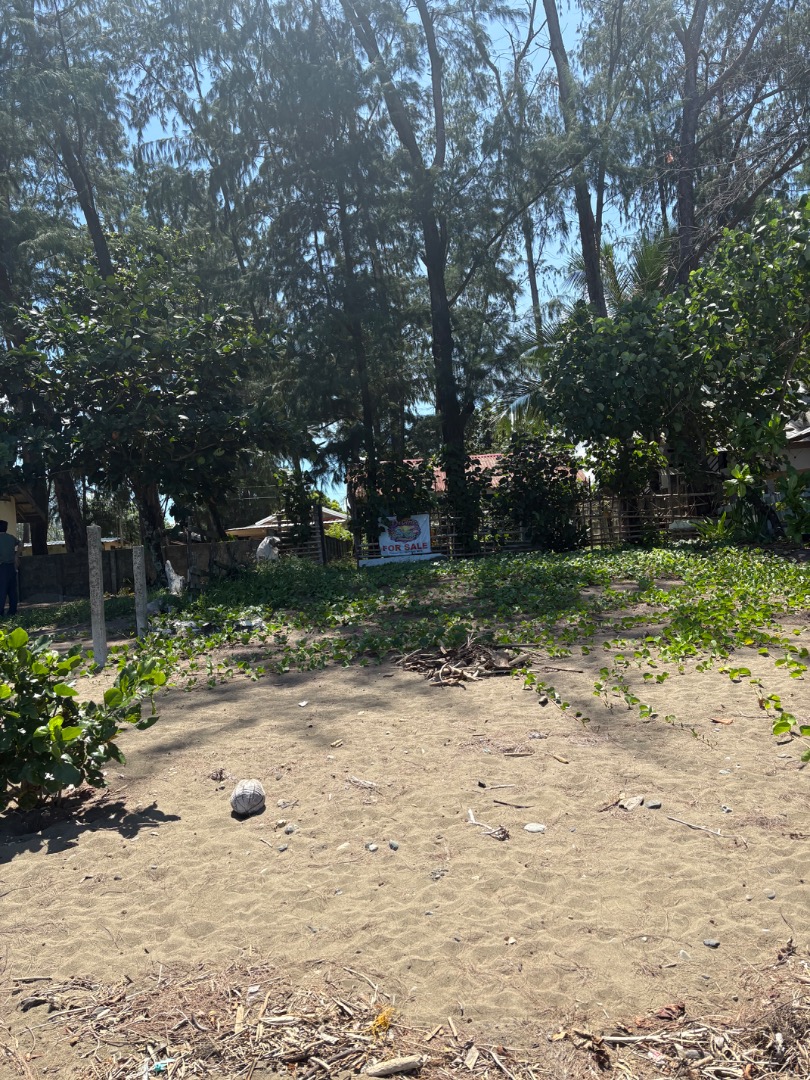 (Category: ) located in . Submitted by anj.alab22 (Listing ID 1464781327, Image 1). Description: .
