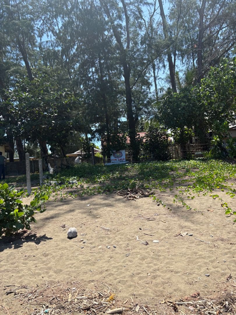 Beach house and lot (Category: House & Lot) located in Del Monte. Submitted by anj.alab22 (Listing ID 1464781327, Image 1). Description: 1730sqm Beach front (direct access to the beach) With rest house Clean title .