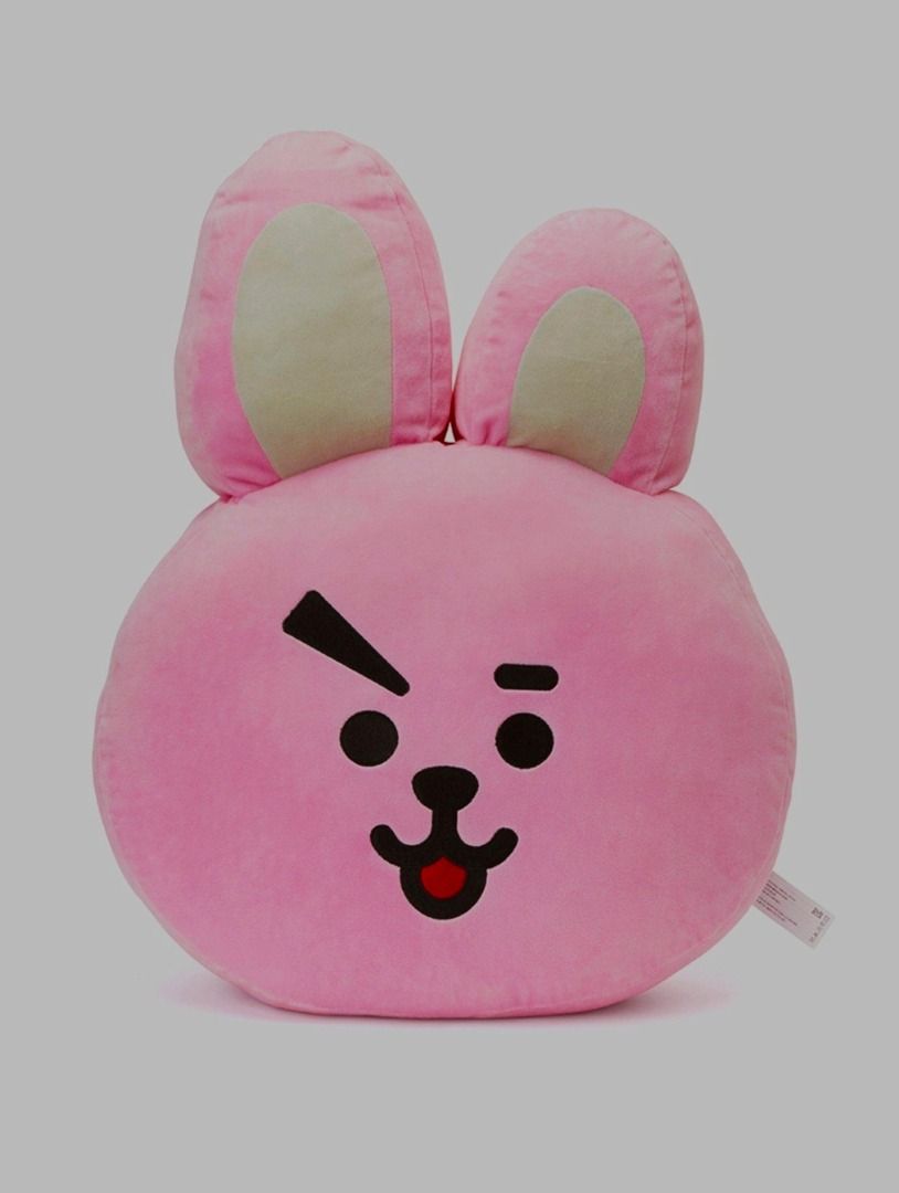 BT21 42cm Cooky Pillow (Category: K-Wave Merchandise) located in Caloocan City. Submitted by ian_elio13 (Listing ID 1464946206, Image 1). Description: Never used.