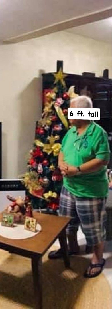 Christmas tree (Category: Artificial Plants & Flowers) located in Antipolo. Submitted by eferdzx (Listing ID 1464872971, Image 2). Description: - Height: Stands approx. 6 feet tall - w/ free red balls 📍lower antipolo city 🚚 jnt/ggx/lalamove / PICK-UP (kung saan mapag-usapan) 💳 maribank/gcash.