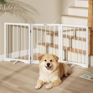 (Category: ) located in . Submitted by sg.allbestdeal (Listing ID 1464835902, Image 1). Description: .