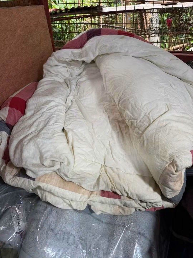 comforter (Category: Bedding & Towels) located in Sablan. Submitted by gongonshelley12 (Listing ID 1464798910, Image 2). Description: BARGAIN SALE 250 only COMFORTER ANLAMBOT PO NETO GOODS NA GOODS 190cm X 160cm.