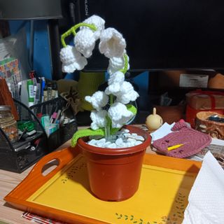 (Category: ) located in . Submitted by piptea (Listing ID 1464968560, Image 1). Description: .