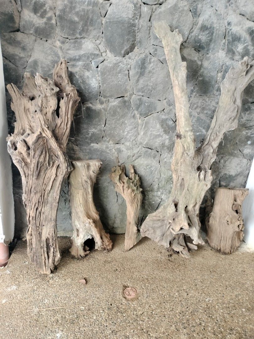 DRIFTWOOD Big (Category: Outdoor Furniture) located in Quezon City. Submitted by dex.colletions (Listing ID 1464902401, Image 3). Description: take all driftwood mabibigat solid pm.