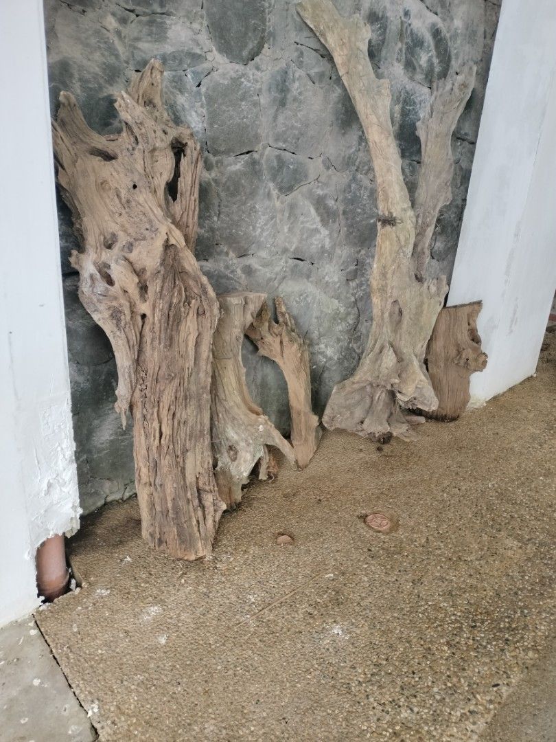 DRIFTWOOD Big (Category: Outdoor Furniture) located in Quezon City. Submitted by dex.colletions (Listing ID 1464902401, Image 2). Description: take all driftwood mabibigat solid pm.