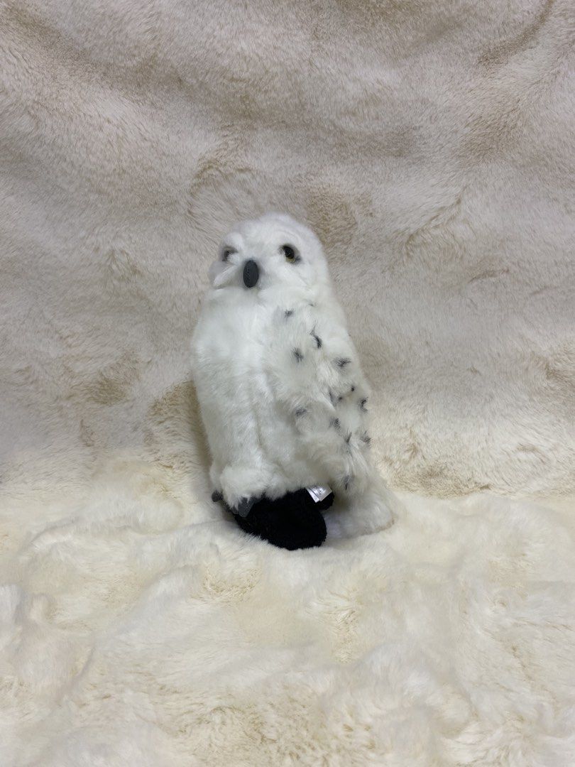 Harry Potter’ Hedwig Owl arm-perch plush (Category: Plushies & Soft Toys) located in Kalibo. Submitted by ollie_stuffshop (Listing ID 1464775903, Image 1). Description: 24cm x 15cm Before you send your inquiries: ❗️Last Price is already posted ❗️Manage your expectations, WYSIWYG ❗️May need washing ❗️Dropoff is every Wednesday & Sunday.