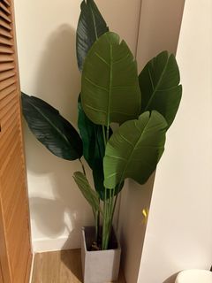 （分類：）位於 。 由 ngagwen 提交（商品編號 1464882966，圖片 1）。簡介： 。