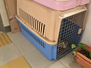 (Category: ) located in . Submitted by kavinchiacc (Listing ID 1464774533, Image 1). Description: .