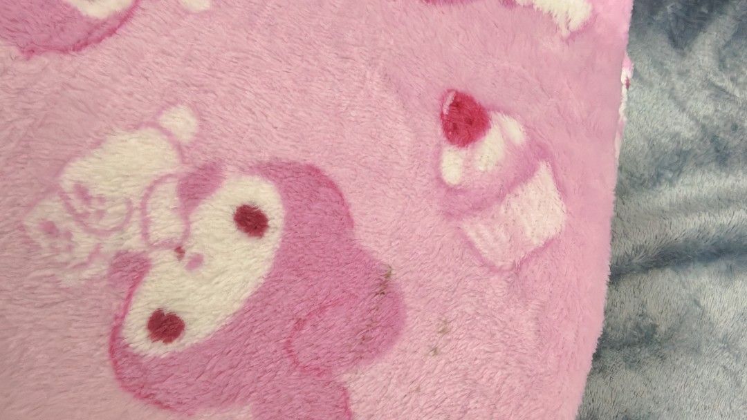 Melody Cupcake Blanket/ Double size (Category: Bedding & Towels) located in Mariveles. Submitted by hl.reyrfinds (Listing ID 1464775318, Image 3). Description: 🍀☘️🍀☘️🍀 Fur Fleece Blanket/ Double size Soft & Glossy, Midweight ‼️Minimal washable dirt Pay first. MOD: J&T.
