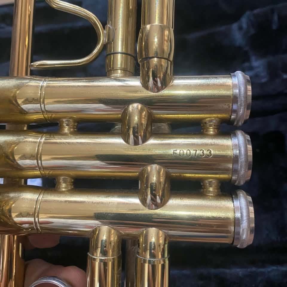 Minerva MTR-P Trumpet (Category: Musical Instruments) located in San Fernando. Submitted by thethriftwardrobe.ph (Listing ID 1464808711, Image 2). Description: Minerva MTR-P Trumpet Merong dents pm for the details po As is where is Loc: sfc, la union .