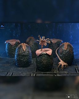 （分類：）位於 。 由 chillbeat 提交（商品編號 1464840312，圖片 1）。簡介： 。