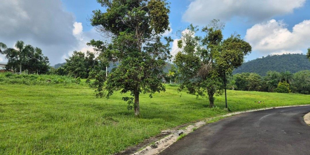 NobHill in Tagaytay Highlands (Category: Lot) located in Las Pinas. Submitted by broker_fritz (Listing ID 1463531719, Image 1). Description: FOR SALE Vacant Lot in NobHill located in the Greenlands Community of Tagaytay Highlands Lot Size: 323 sqm Selling Price: 10M Net NEGOTIABLE (Golf Shares included) Clean title Updated RPT and HOA dues DIRECT BUYERS ONLY PLEASE Thank you..