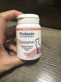 （分類：）位於 。 由 y_0129 提交（商品編號 1464782585，圖片 1）。簡介： 。
