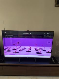 (Category: ) located in . Submitted by kimpoh (Listing ID 1464776002, Image 1). Description: .