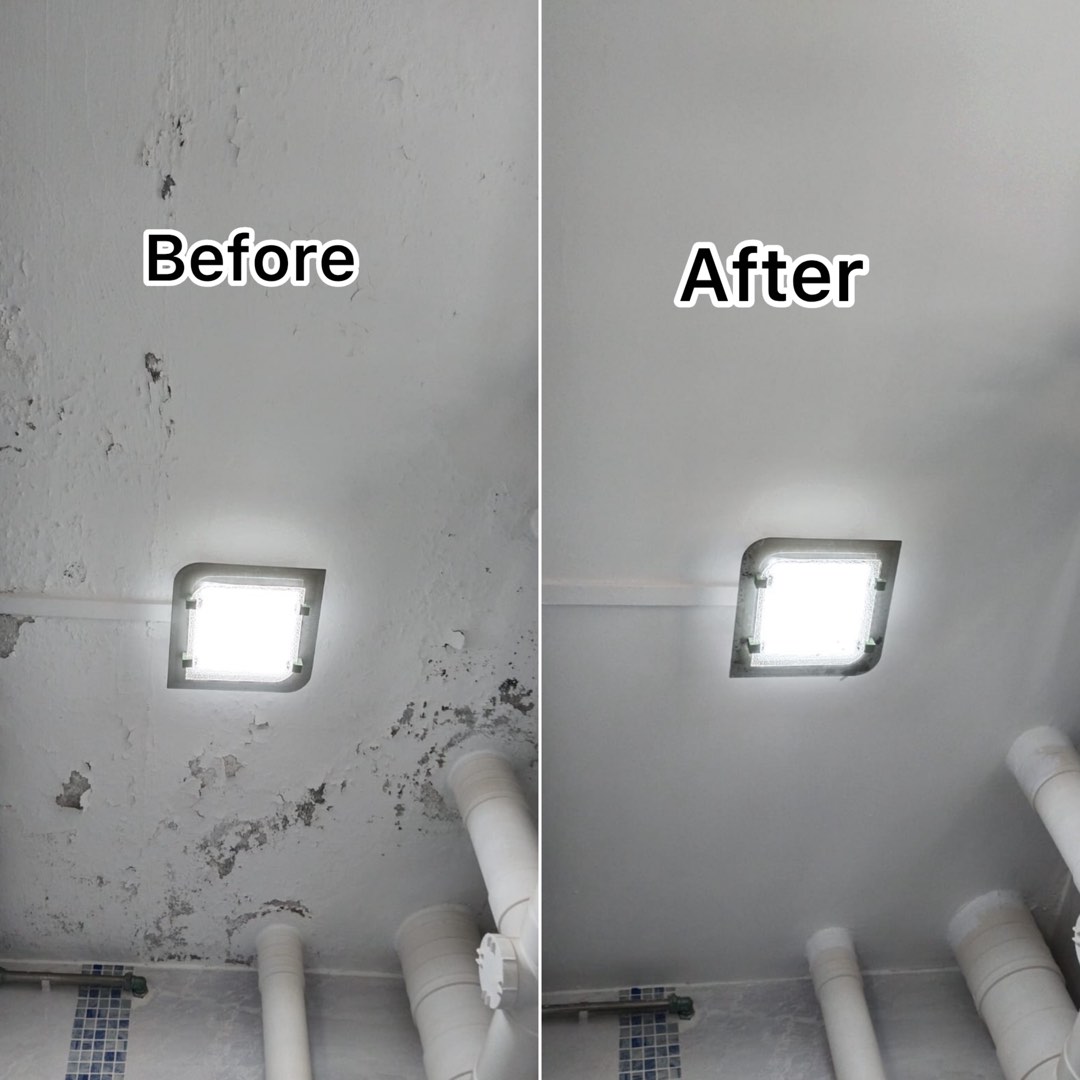 (Category: ) located in . Submitted by good_solution (Listing ID 1464966515, Image 1). Description: .