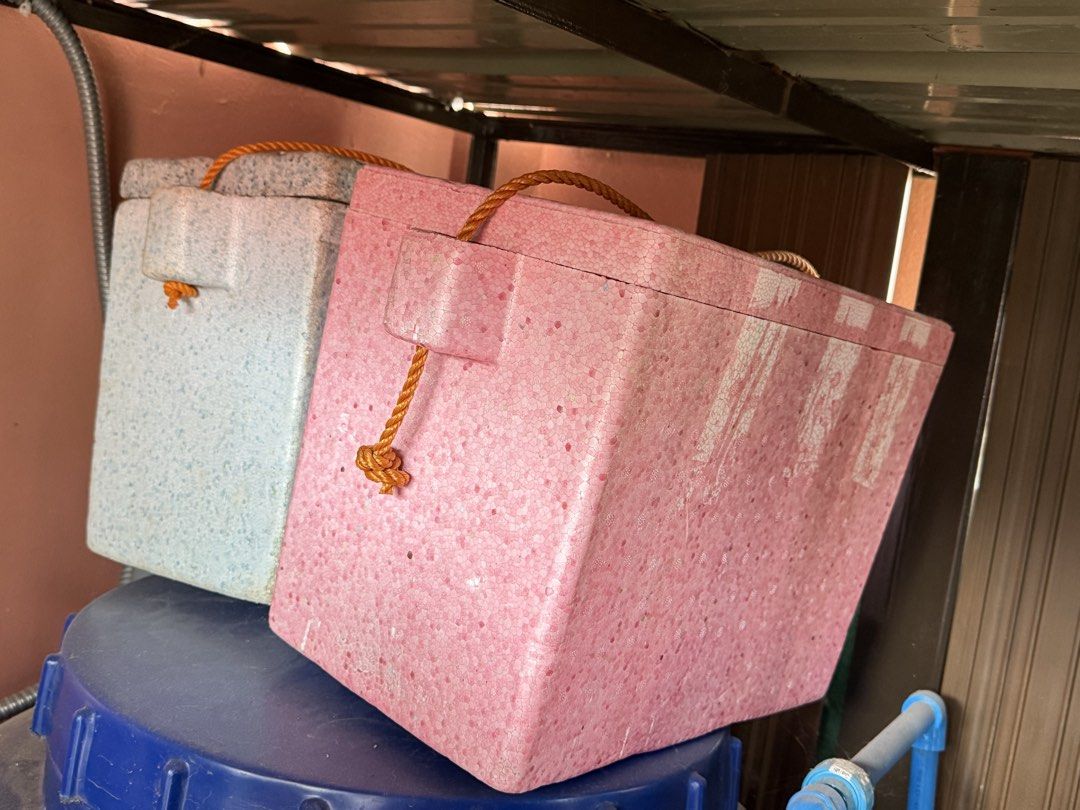 Styrofoam Ice Box Container with Rope Handle (Category: Food Organization & Storage) located in Cebu City. Submitted by eynjlin (Listing ID 1464936005, Image 1). Description: - Vibrant pink and blue Styrofoam storage boxes - Thick foam material for superior temperature control and protection - Equipped with handy rope handles to secure lids during transport - Versatile use: ideal for chilling drinks, storing food, or packing items - Standard rect
