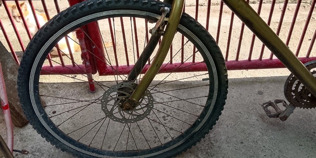 unused mountain bike (Category: Bicycles) located in Manila. Submitted by ellajoshsh89988 (Listing ID 1464770066, Image 2). Description: ala kadena at flat gulong.