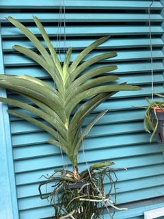 (Category: ) located in . Submitted by stetan (Listing ID 1464966936, Image 1). Description: .