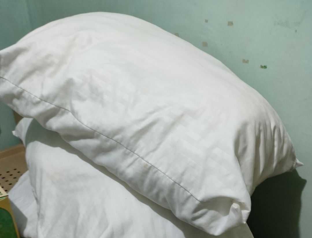 White plush bed pillows standard size (Category: Bedding & Towels) located in San Pedro. Submitted by leviandmillie (Listing ID 1464950502, Image 1). Description: ‼️PICK UP ONLY‼️ ‼️ Kindly read all the information.‼️ 4 WHITE PILLOWS 💰 Selling Price: ₱100 EACH 🪎 ₱300 FOR ALL 4🪎 Condition: Used. Kelangan labahan Four white pillows. Good as extra pillows for the bedroom, guest room, dorm, apartment, or staff quarters. DETAILS: • 4 pillows availa